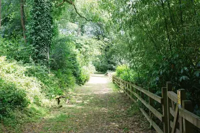 a path through a forest with a fence at Trewhiddle Cottage 41 - 1 Bedroom Cottage in St Austell