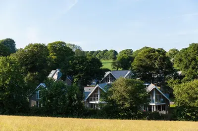 a group of houses in a field next to trees at Trewhiddle Cottage 41 - 1 Bedroom Cottage in St Austell