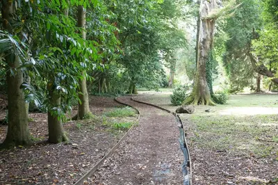 a path in the middle of a forest with trees at Trewhiddle Cottage 41 - 1 Bed Ensuite in St Austell