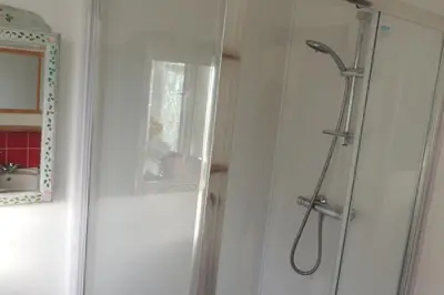 a shower stall in a bathroom with a mirror at Oxencombe in Davidstow