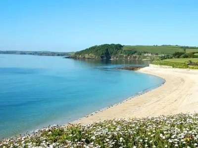 a beach with white flowers and the water at Stunning Sea View Apartment in Falmouth