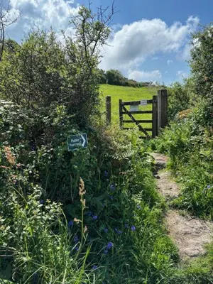 a field with a fence and a dirt trail at The Little Barn Near St Ives Beaches & Walks, Dog Friendly in St Ives