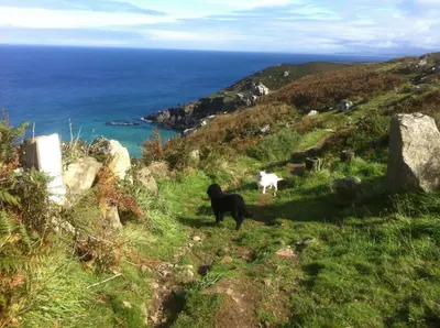 two goats standing on a hill near the ocean at The Little Barn Near St Ives Beaches & Walks, Dog Friendly in St Ives