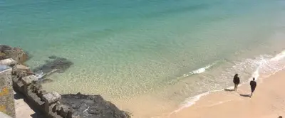 two birds standing on a beach near the water at The Stable Near St Ives Beaches Dog Friendly in St Ives