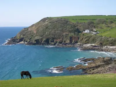 a horse grazing on a hill next to the ocean at Porthallow Lodge 350m to SWCP Talland Bay Retreat in Talland