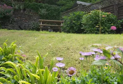 a garden with flowers and a bench in the background at Poplar Cottage in Port Isaac