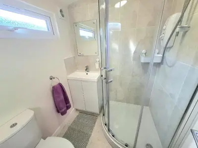 a bathroom with a shower and a toilet and a sink at Cosy Corner Cabin in St Merryn