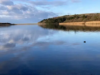 a large body of water with a bird in the water at Church View, Helston Old Town in Helston