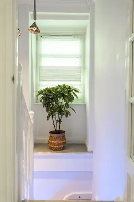 a plant sitting on a window sill in front of a window at 90A Tower Road in Newquay
