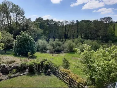 an aerial view of a field with trees and grass at Cottage - Sleeps 2 - River Lynher walks & fishing in Linkinhorne