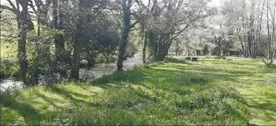 a grassy field with a river and some trees at Cottage - Sleeps 2 - River Lynher walks & fishing in Linkinhorne