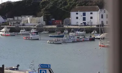 a bunch of boats are docked in a harbor at Harbour Front Flat in Porthleven - Next to shops in Porthleven