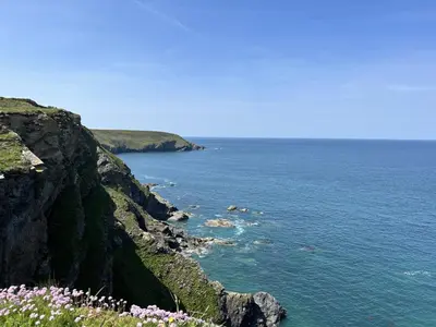 a view of the ocean with flowers on a cliff at Skylark Hayle far views over St Ives Bay in Camborne