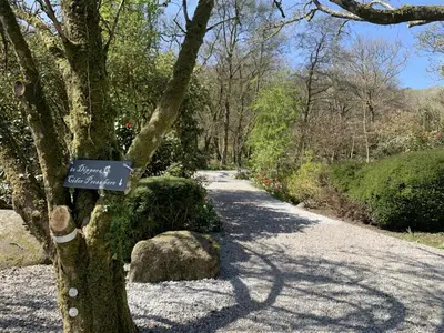 a sign on a tree on a gravel road at Dippers woodland setting at the Luxulyan Valley in Luxulyan