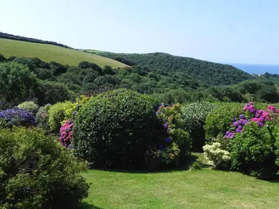 a garden of bushes and flowers on a hill at Hazeldene amazing sea and countryside views in Crackington Haven