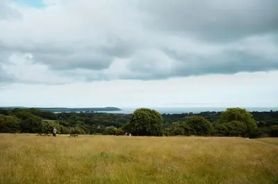 a person standing on top of a grassy hill at Barrel Cabin 2 in Trethurgy