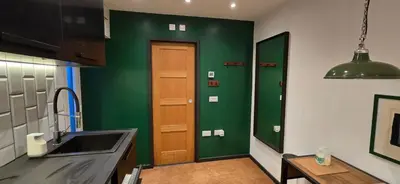 a kitchen with a sink and a green wall at Hove Too in Saint Day