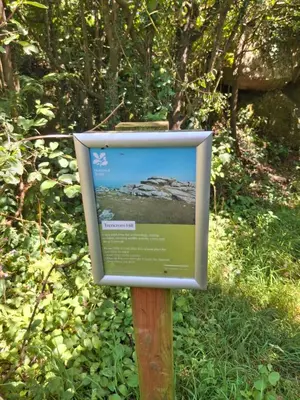Gallery image of The Cabin in Carbis Bay