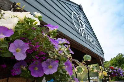 a bunch of flowers in front of a building at Newquay Bay Holiday Resort in Newquay