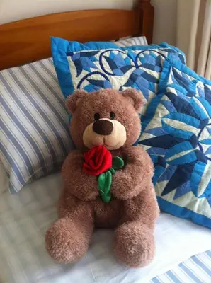 a teddy bear sitting on a bed with a rose at Trelawney Guest House Room only in Falmouth