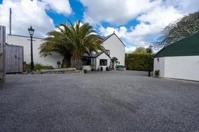 a house with a palm tree in front of a driveway at The Cedars in Redruth
