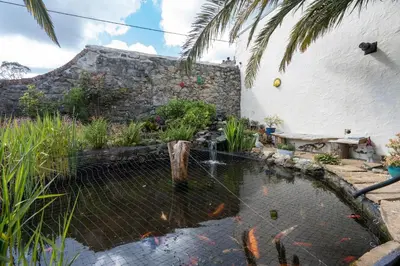 a koi pond in the backyard of a house at The Cedars in Redruth