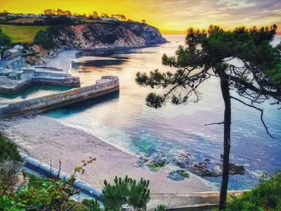 a view of a beach at sunset with a tree at Sea Haze Charlestown in St Austell