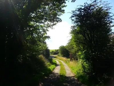 a dirt road with trees on either side at Sunflowers Barn in Looe