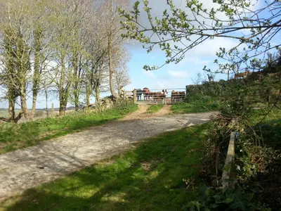 a dirt road with a bench on the side of a hill at Sunflowers Barn in Looe
