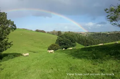 a rainbow over a field with cows in a field with a rainbow at Sunflowers Barn in Looe
