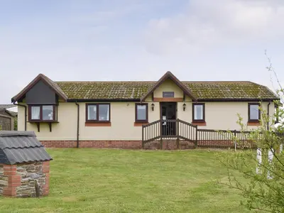 a house with a green lawn in front of it at Driftwood in St Merryn