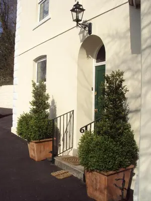 a white house with two potted trees in front of a door at Woodlands in Looe