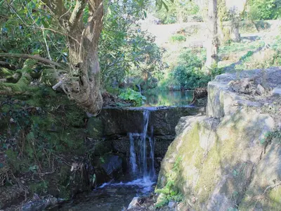 a painting of a waterfall next to a creek at Harry in Bodmin