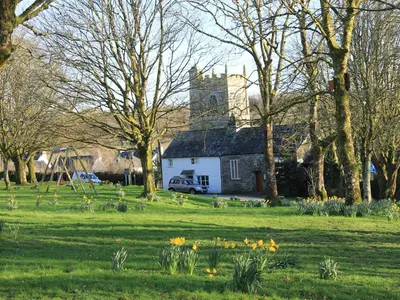 a house in a field with flowers in the grass at Harry in Bodmin