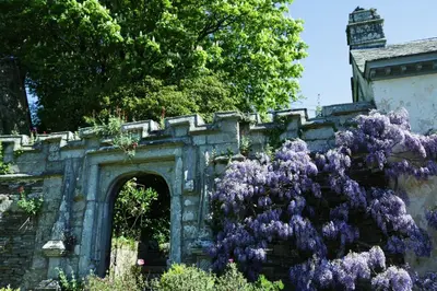 a bunch of purple flowers in front of a building at Tom in Bodmin