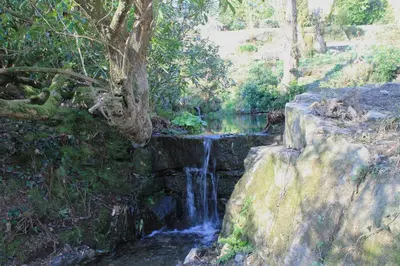 a painting of a waterfall next to a river at Tom in Bodmin