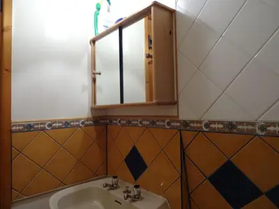 a bathroom with a sink and a mirror at The Boat House in Lerryn