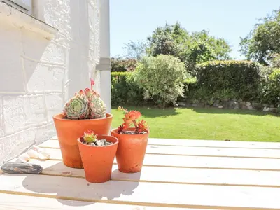 three potted plants sitting on the porch of a house at 2 Trerise Cottage in Helford