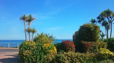a view of the ocean with palm trees and bushes at Falmouth Self Catering Lodges in Falmouth