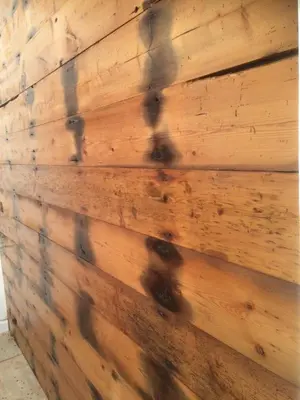 a wooden wall with rivets on it at Storm in a tea cup in St Ives