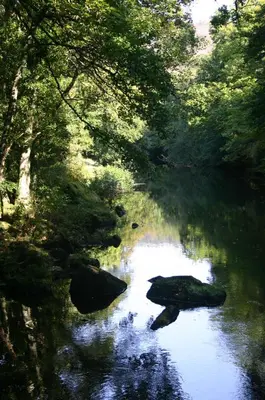 a river in a forest with rocks and trees at Talehay Cottages in Looe