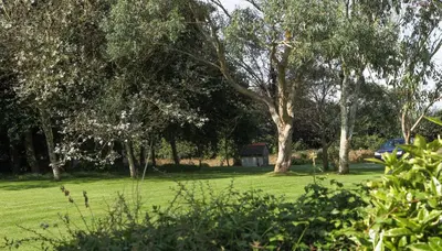 a field with trees and a house in the distance at Treweens in Wadebridge