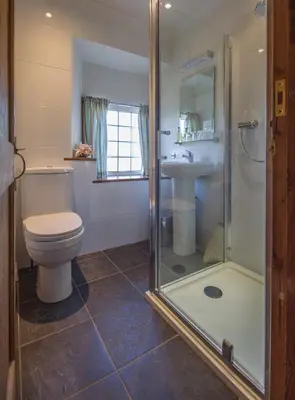 a bathroom with a toilet and a shower and a sink at Treweens in Wadebridge
