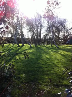 a field of grass with trees in the background at Treweens in Wadebridge