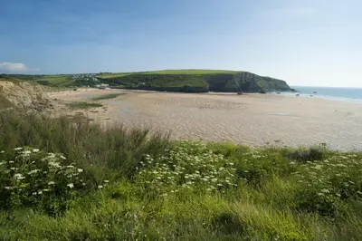 a sandy beach with white flowers and the ocean at White Lodge Apartments in Mawgan Porth