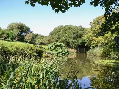 a view of a pond in a park at Chywood Barn in Carleen