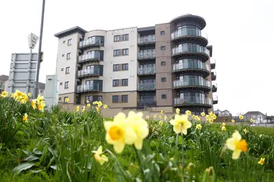 an apartment building with flowers in front of it at Horizons Apartments Newquay in Newquay