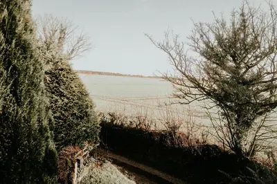 a view of a field with a tree and a fence at Higher Trewithen in Stithians