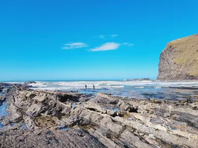 a group of people in the water at the beach at Cargurra Farm in Boscastle