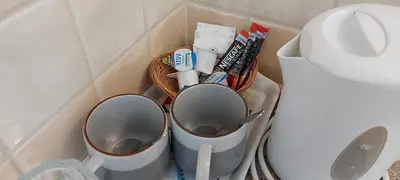 two trash cans in a corner next to a toilet at Invernook in Newquay